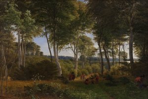Bosque Delhoved cerca del lago Skarre, Zelanda. Luz de la tarde