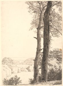 Paisaje en Skarritsø con dos árboles altos, hayas, en primer plano