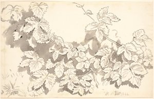 Hoja de estudio. Hojas de roble. de P.C. Skovgaard