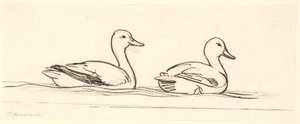 Dos patos. Boceto decorativo. de P.C. Skovgaard
