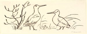 Dos becadas. Boceto decorativo.