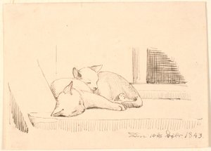 Dos gatos durmiendo