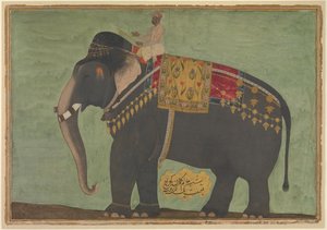 Retrato del elefante 