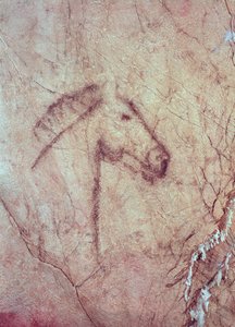 Cabeza de un caballo, de la Cueva de la Peña de Candamo San Román (pintura rupestre)