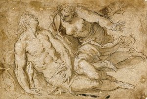 Venus descubriendo al muerto Adonis de Palma Il Giovane