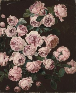 Un rosal (óleo sobre lienzo)