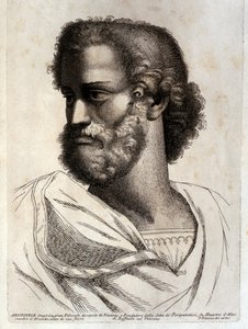 ARISTOTLE de Paolo Fidanza