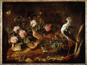 Naturaleza muerta con lechuza e ibis - Nature morte avec une chouette et un ibis ...