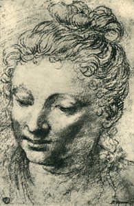 Cabeza de una mujer mirando hacia abajo, mediados del siglo XVI, 1943 de Paolo Veronese