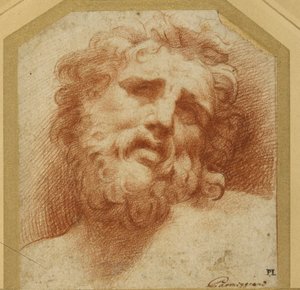 Cabeza barbuda, mirando hacia arriba (posiblemente Laocoonte)