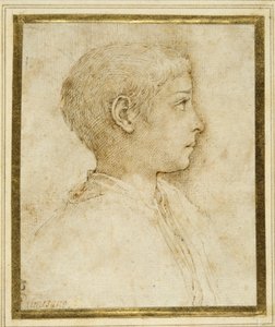 Busto de un niño de perfil a la derecha de Parmigianino