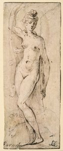 Figura femenina - estudio para Santa Maria della Steccata, Parma (anverso) de Parmigianino