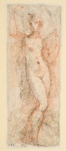 Figura femenina - estudio para la Steccata (verso) de Parmigianino