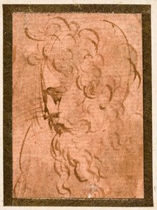 cabeza masculina de Parmigianino