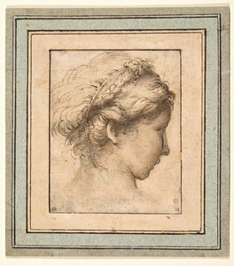Cabeza de perfil de una niña mirando a la derecha de Parmigianino