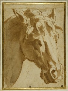 La cabeza y el cuello de un caballo de Parmigianino