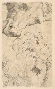 Dos estudios de cabezas de caballos (fragmento) (verso) de Parmigianino