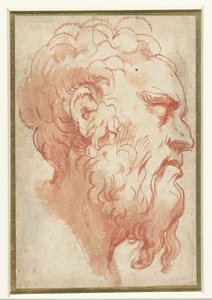 Cabeza de un anciano, en perfil a la derecha de Parmigianino