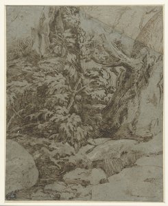 Estudio de un paisaje de Parmigianino