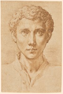 La cabeza de un joven de Parmigianino