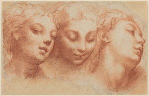  de Parmigianino