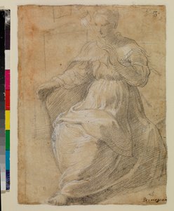 Mujer sosteniendo una rueca de Parmigianino