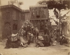 Sala de los Camellos de Pascal Sébah