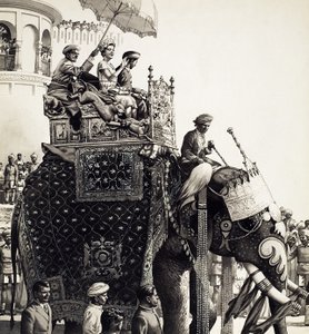 La reina Isabel II sobre un elefante (gouache)