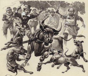 Bull baiting (gouache sobre papel)