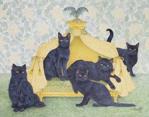 Terciopelo negro de Pat Scott