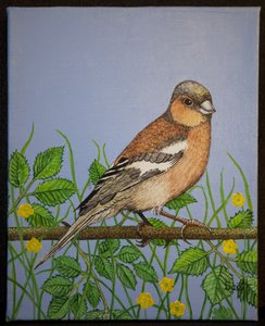 Pinzón, 2016 de Pat Scott