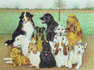 Vigilancia canina de Pat Scott