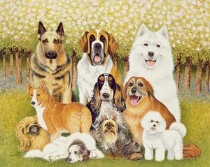 Perros en mayo de Pat Scott