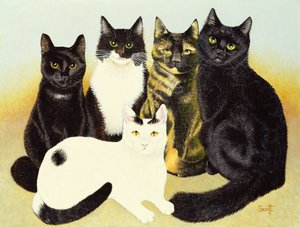 Los gatos de la Srta. Cox de Pat Scott