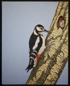 Pájaro carpintero de cabeza roja, 2016