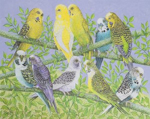 Sweet Talking (acrílico sobre lienzo) de Pat Scott
