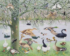 The Odd Duck (acrílico sobre lienzo) de Pat Scott