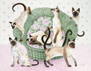 Somos siameses (acrílico sobre percal) de Pat Scott