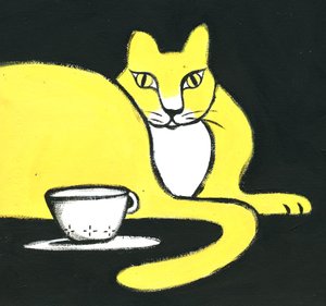 Gato