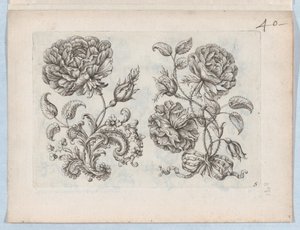 Serie de pequeños motivos florales, lámina 5 de Paul Androuet Du Cerceau