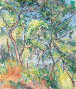 Sous-Bois. Um 1894 de Paul Cézanne