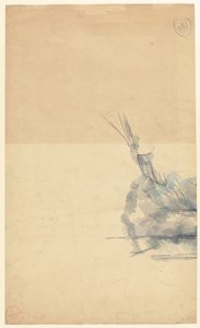 Estudio de una roca [verso]