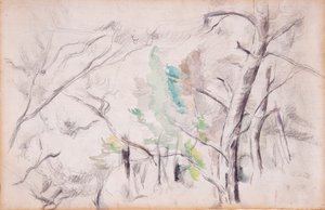 árboles [anverso]; Encagnane con el Pilon du Roi [volver] de Paul Cézanne