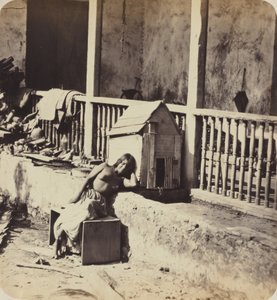 Perro de Garvel (Martinica),década de 1870 (foto) de Paul Emile Miot