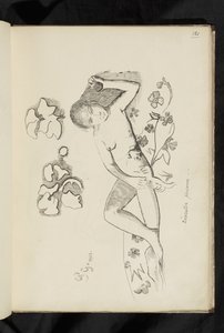 Decorativa persona de Paul Gauguin