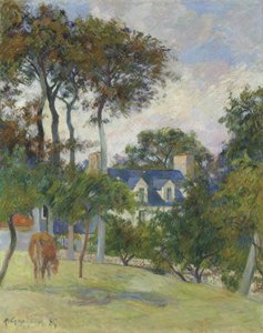 Francés: La Maison blanche / Le Château de l