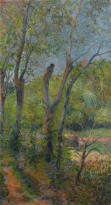 francés:  Les Saules Sauces de Paul Gauguin