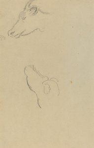 Cabeza de una vaca de Paul Gauguin