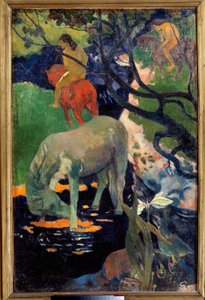 El caballo blanco