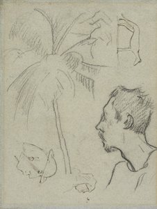 Perfil de Charles Laval con palmera y otros bocetos